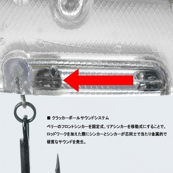 アマゾン ボーンモデル